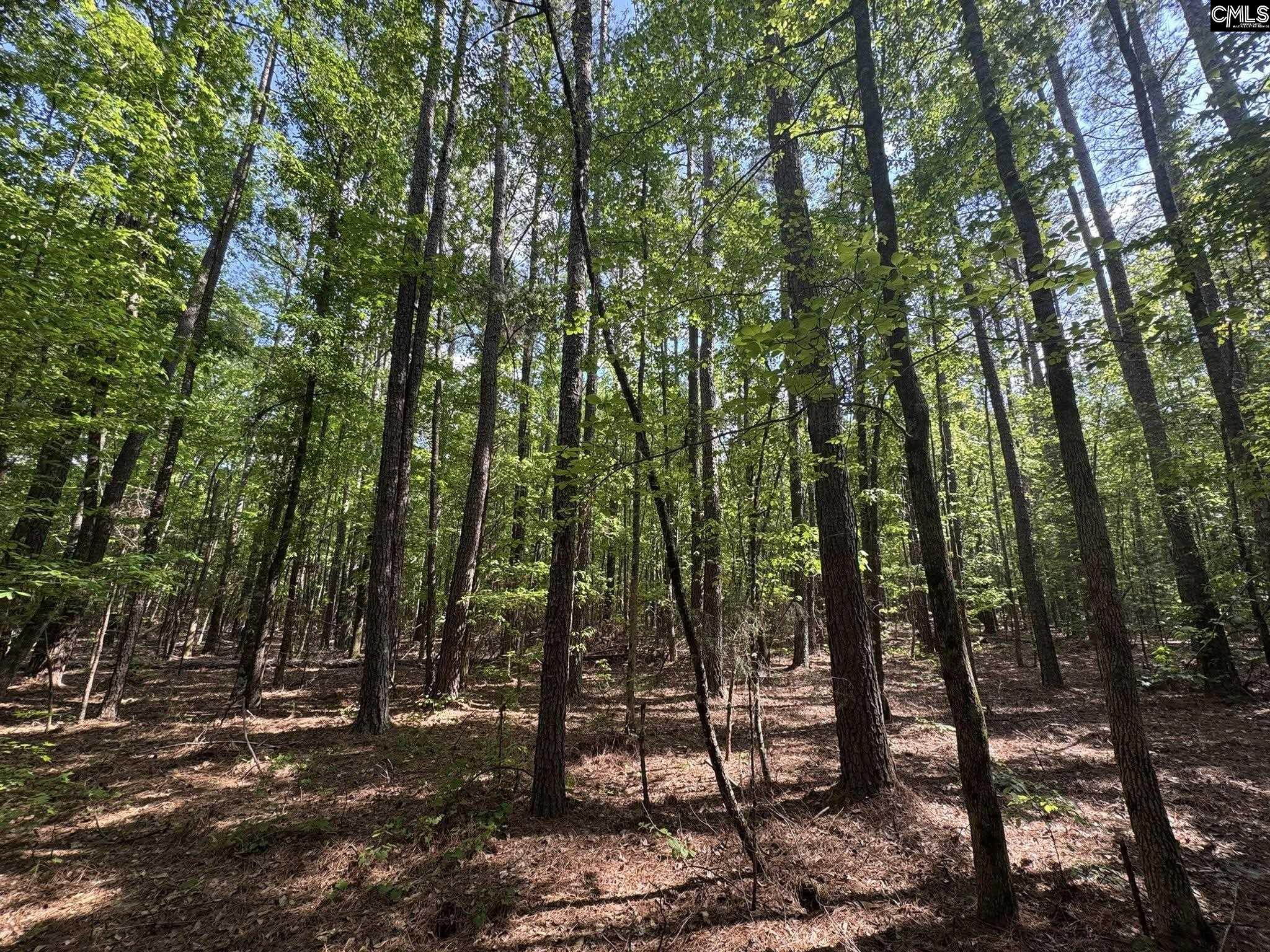 76 West W Highway Honea Path, SC 29654 - Photo 8 of 35