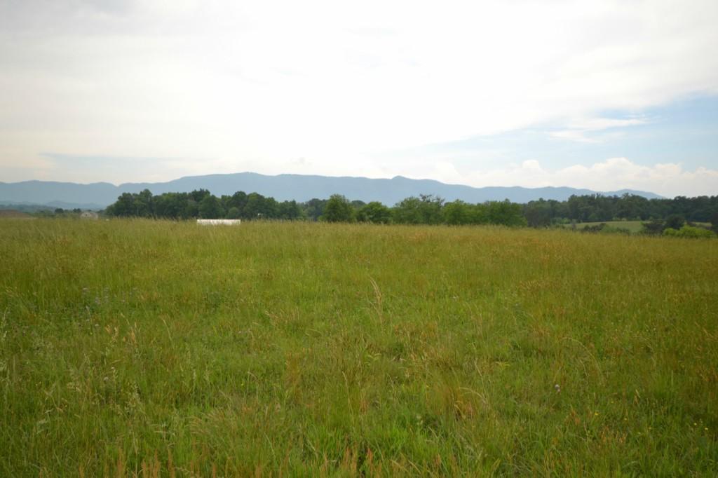 131 Keeble Road Maryville, TN 37804 - Photo 3 of 36 C