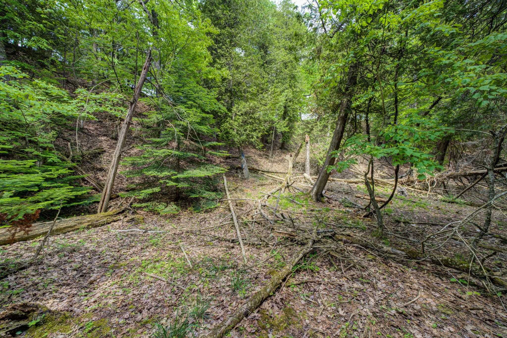 3312 Old State Road Frankfort, MI 49635 - Photo 77 of 85