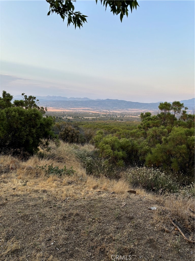45475 Chapman Road Anza, CA 92539 - Photo 1 of 6 a view of a field with a tree in the background
