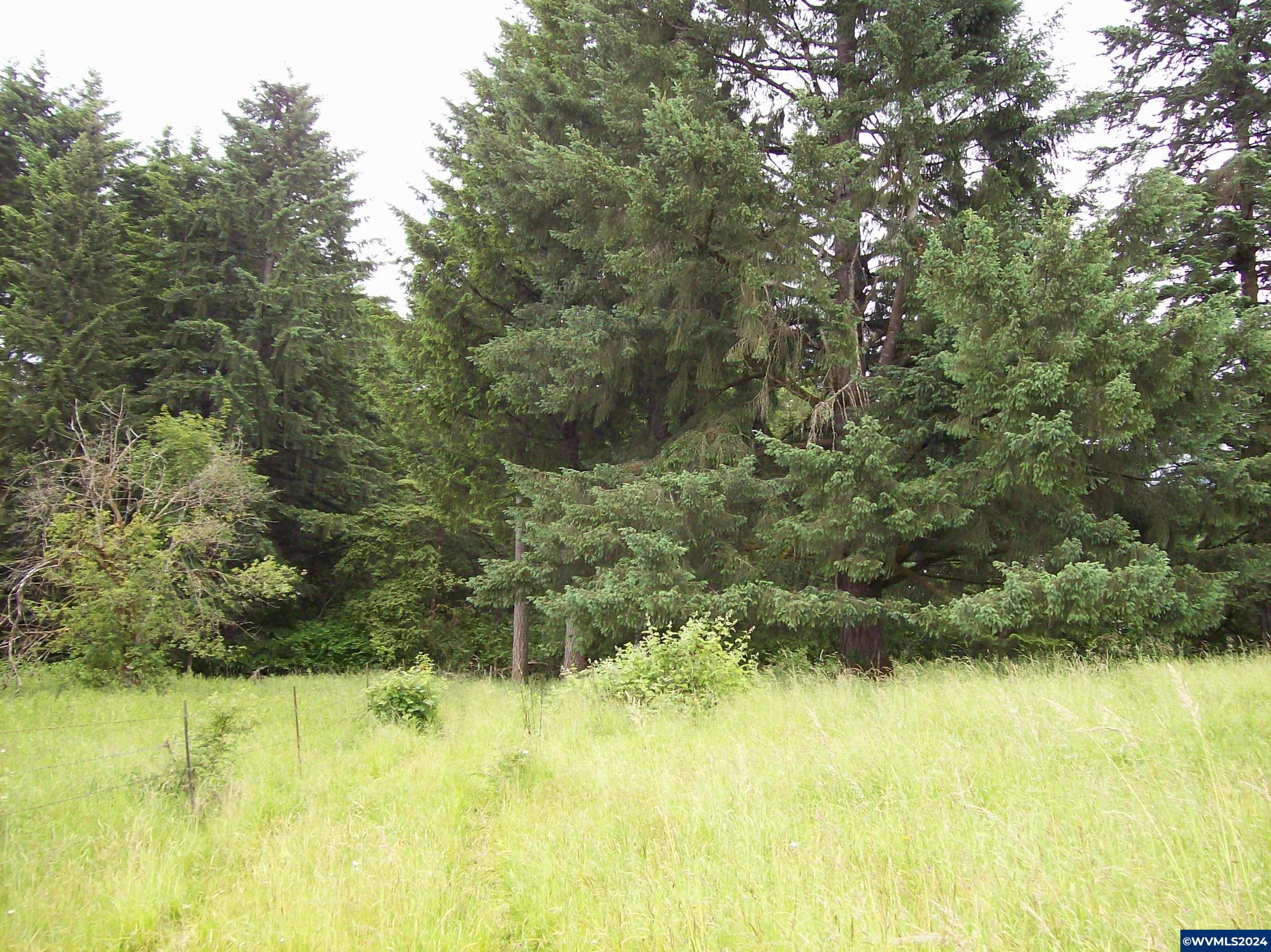 30209 Fairview Road Lebanon, OR 97355 - Photo 28 of 32