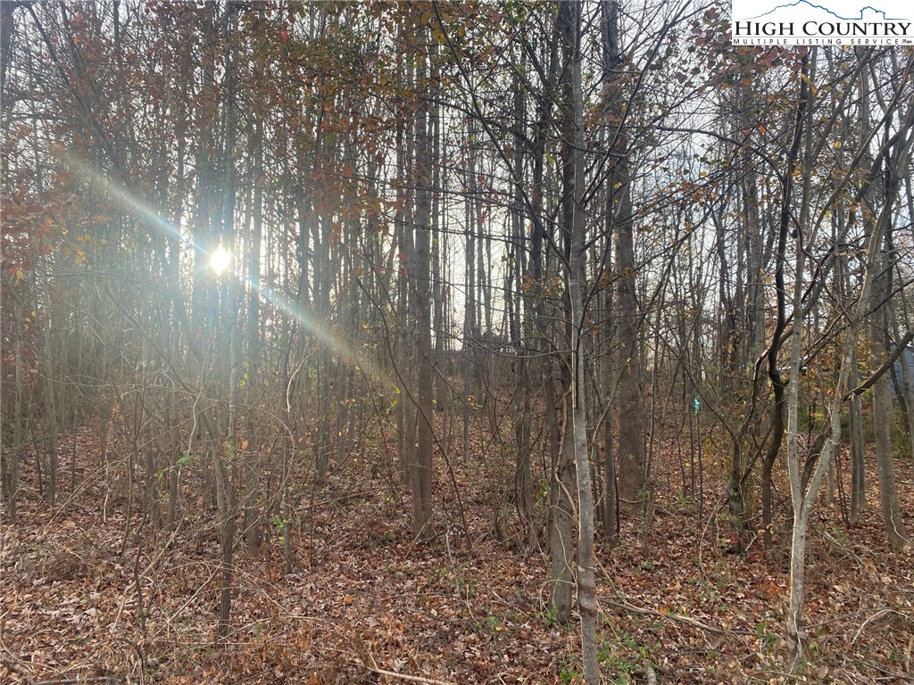 0 Meadow Ln Road Hays, NC 28635 - Photo 2 of 5 a view of a pathway of a yard