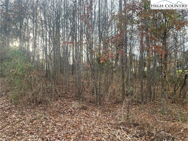 a view of a yard with trees in the background