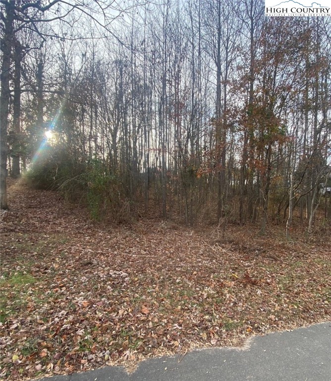 0 Meadow Ln Road Hays, NC 28635 - Photo 4 of 5 a backyard of a house with lots of green space
