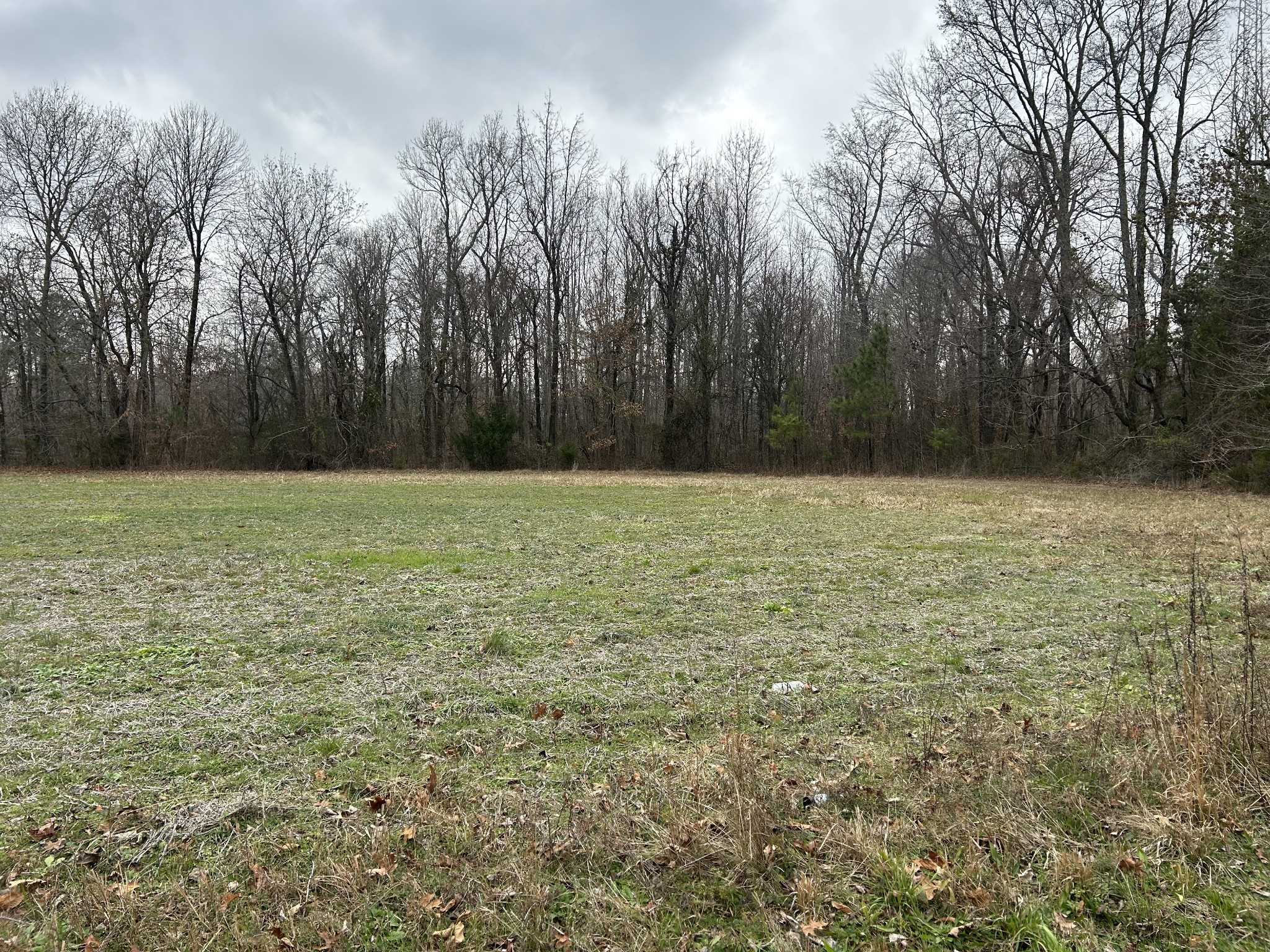 4927 Hillsboro Viola Road Manchester, TN 37355 - Photo 8 of 15