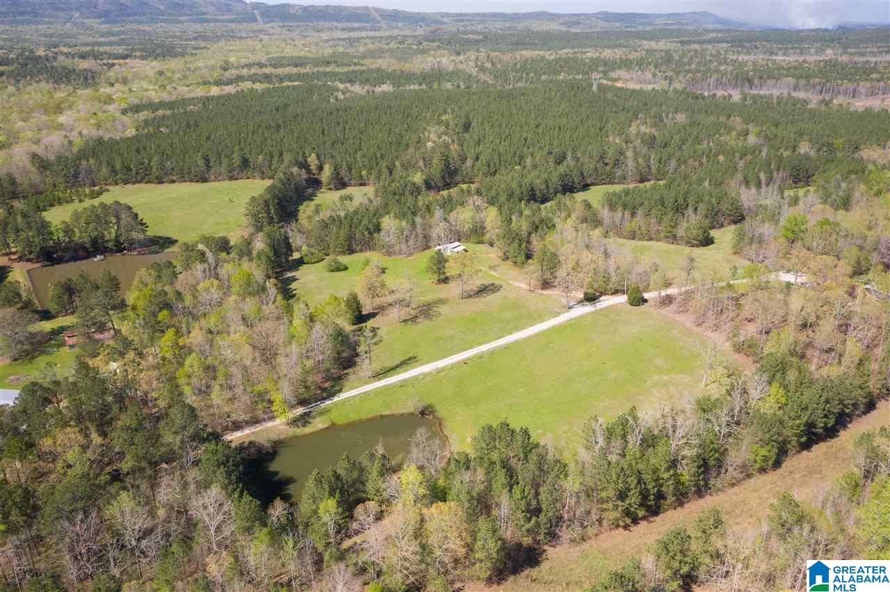 484 Cedar Hill Farm Road Sterrett, AL 35147 - Photo 12 of 50