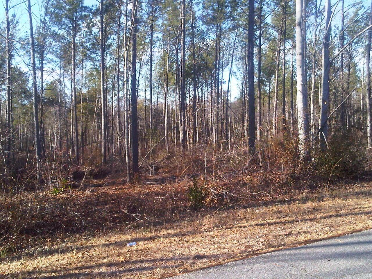 0 Marsh Road, Unit LOT 13 West Point, GA 31833 - Photo 1 of 1 Gallery Image 1