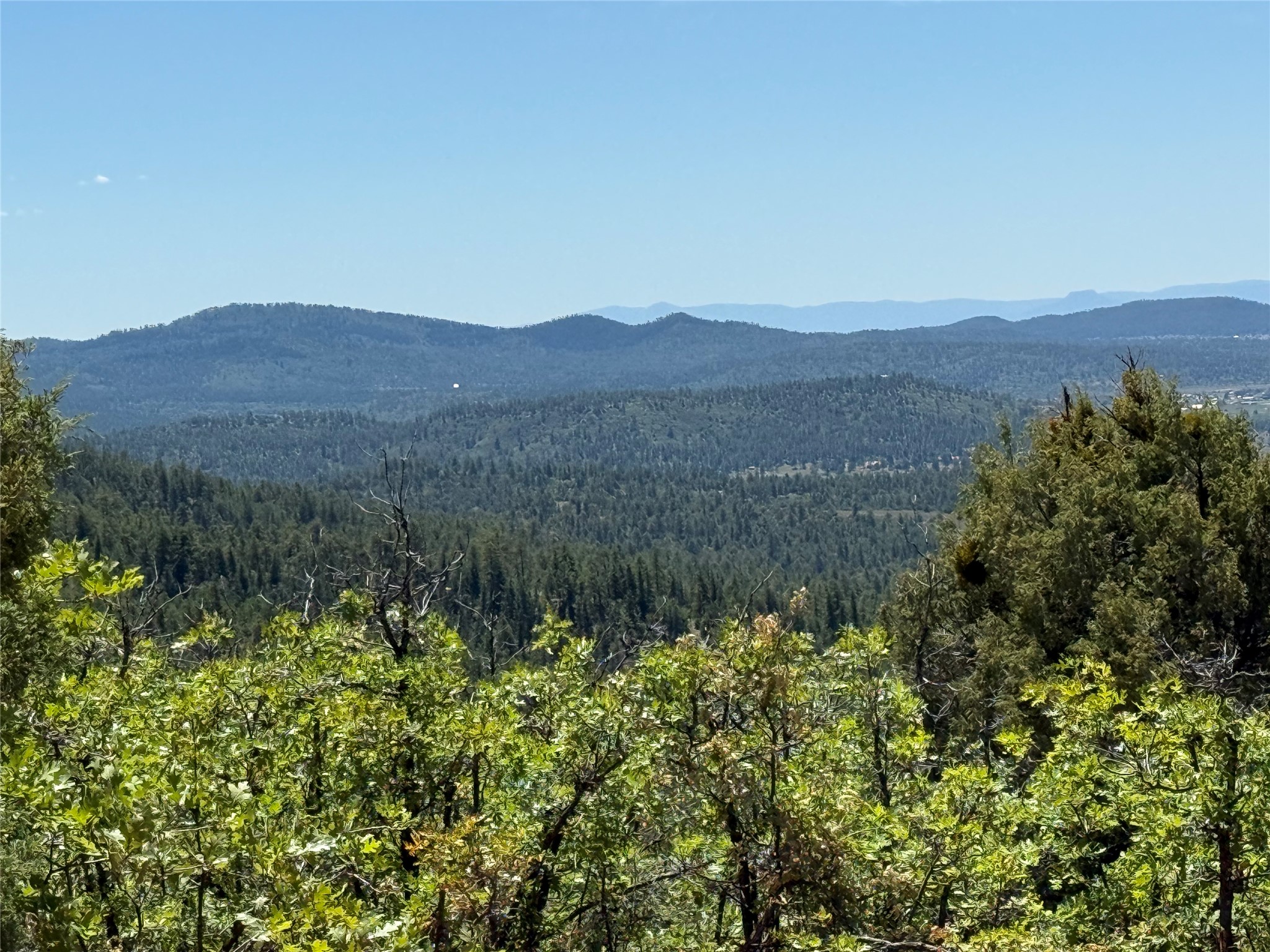 381 Buckman Road Chama, NM 87520 - Photo 11 of 23