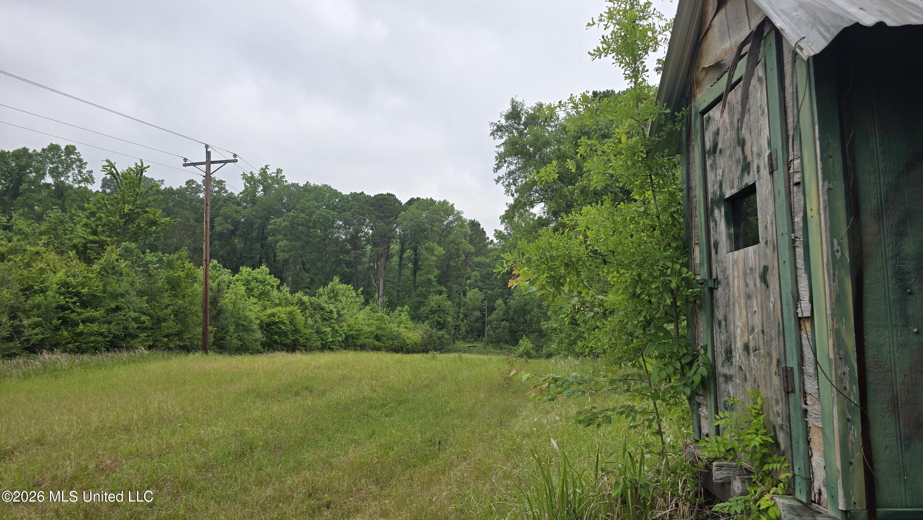189 Co Road Bay Springs, MS 39422 - Photo 10 of 61 20260513_103132