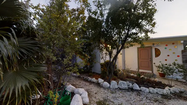 a view of backyard with potted plants and large trees