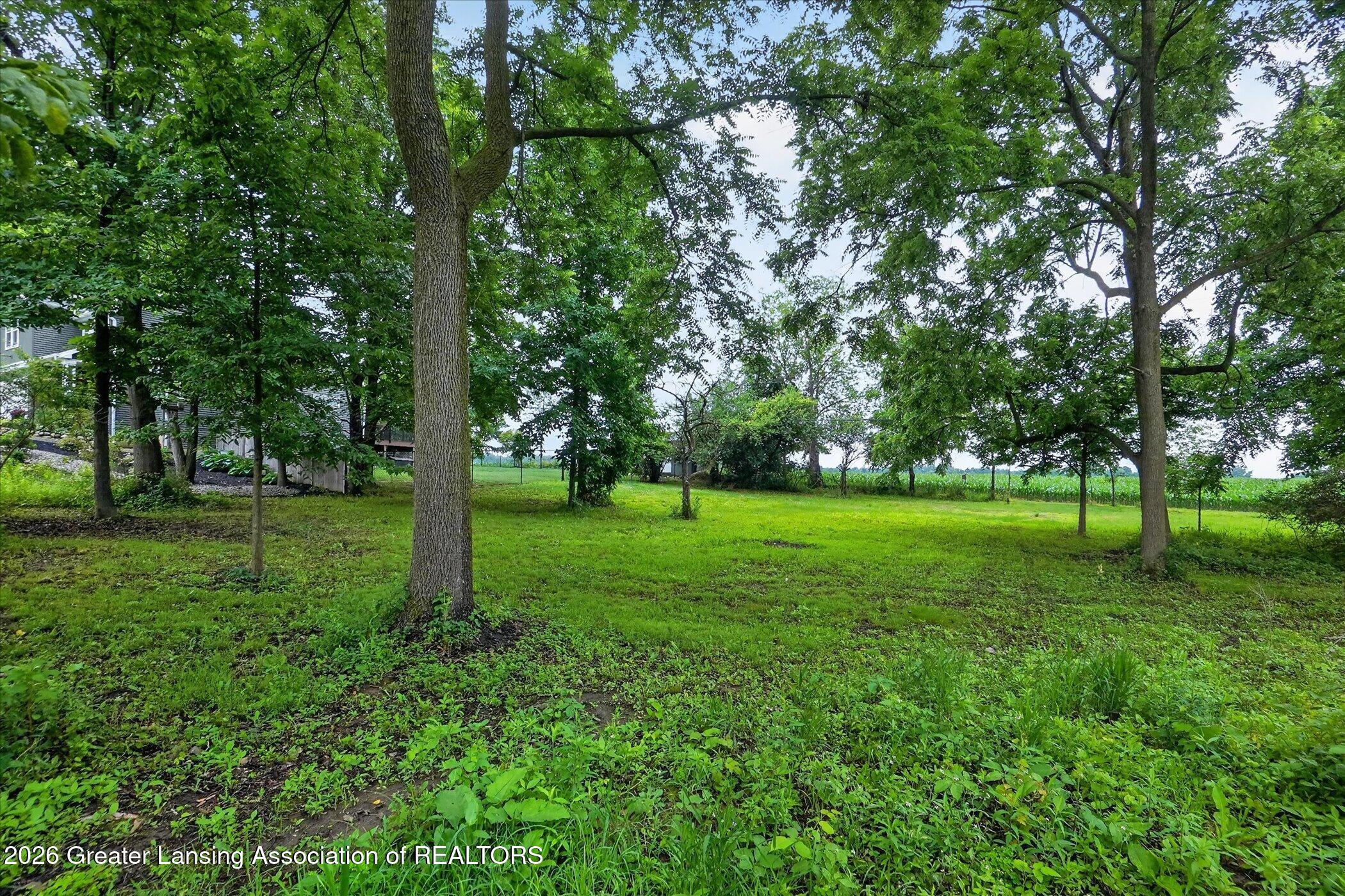 1695 West Solon Road Dewitt, MI 48820 - Photo 32 of 50 47-1695-W-Solon-Rd-WindowStill