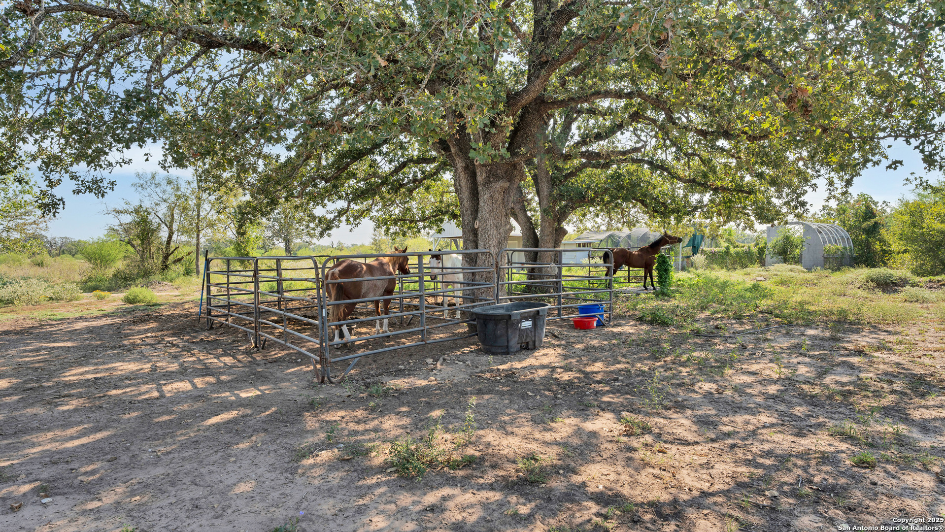475 Jackson Road Kingsbury, TX 78638 - Photo 38 of 44 a view of a park with large trees