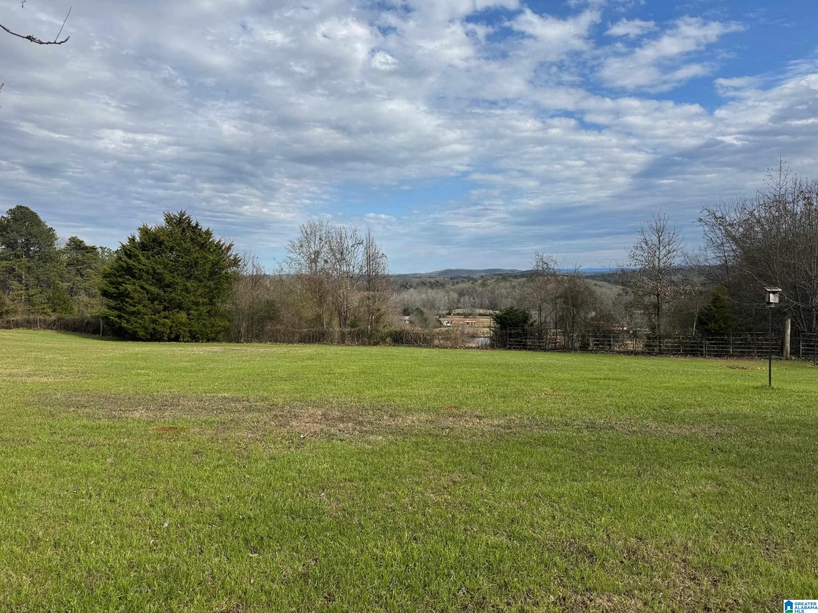 3953 Logan Martin Dam Road Cropwell, AL 35054 - Photo 71 of 99