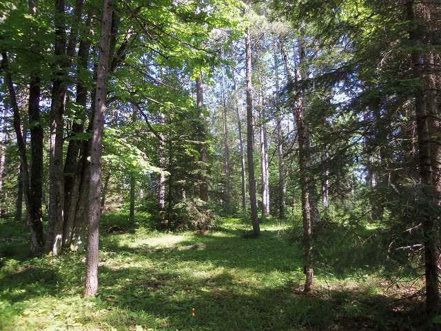 Lot 2 Spider Lane Mercer, WI 54547 - Photo 14 of 19 Gallery Image 14