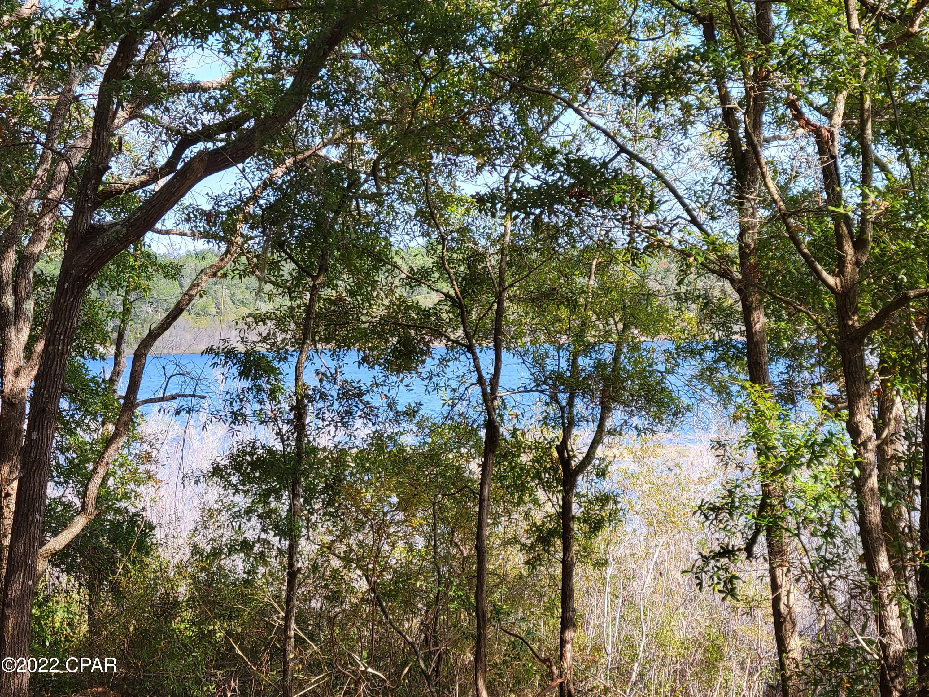 B-225 Quail Ridge Drive Chipley, FL 32428 - Photo 3 of 16 Gallery Image 3