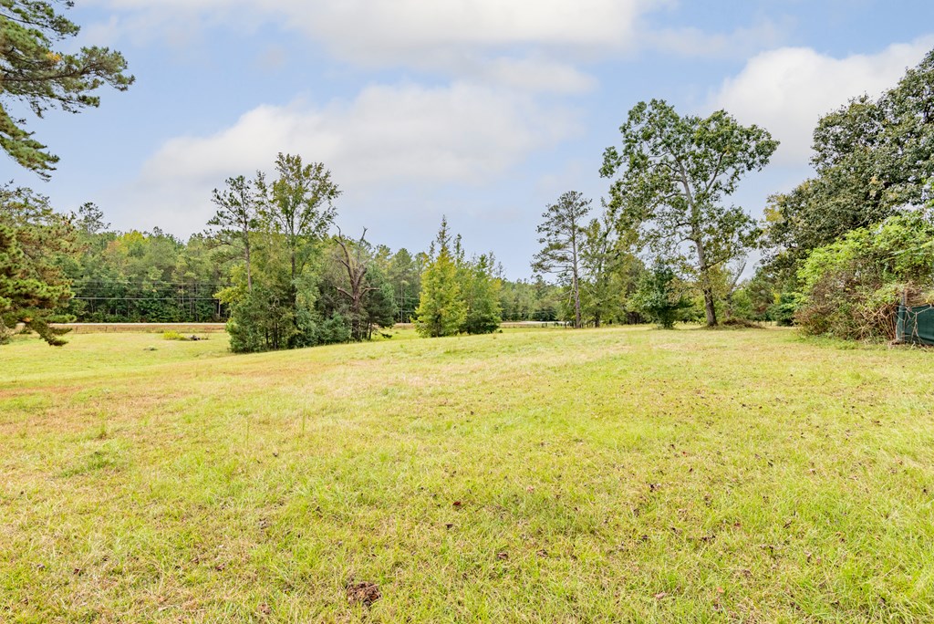 4508 Sandfort Road Seale, AL 36875 - Photo 8 of 61 Gallery Image 8