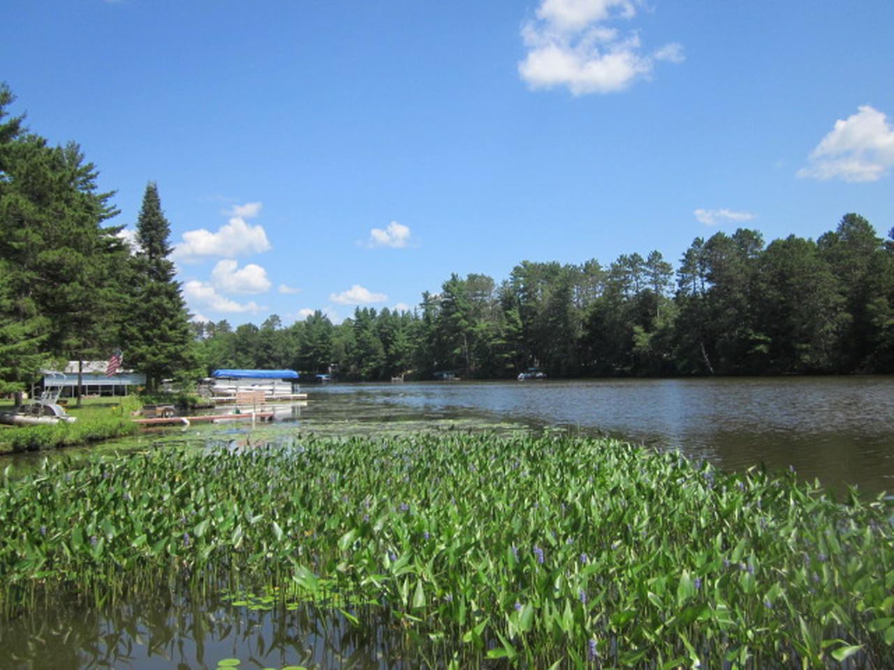 N11252 Tomahawk River Road Tomahawk, WI 54487 - Photo 13 of 16 Gallery Image 13