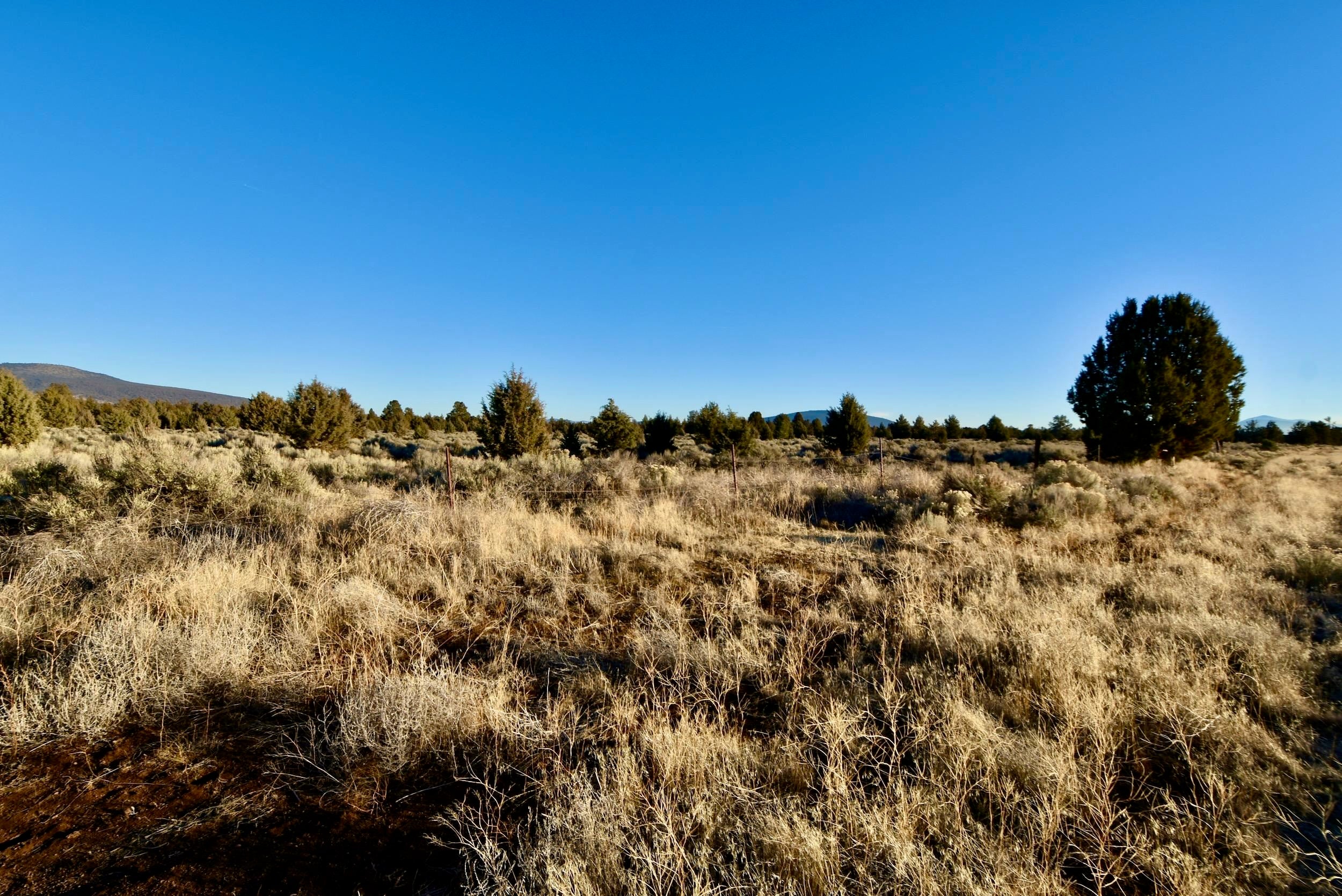 Xx Red Rock Road Macdoel, CA 96058 - Photo 23 of 44 Gallery Image 23