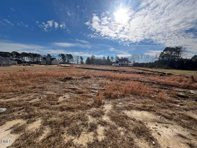 a house view with a backyard space