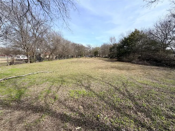 a view of big yard with large trees