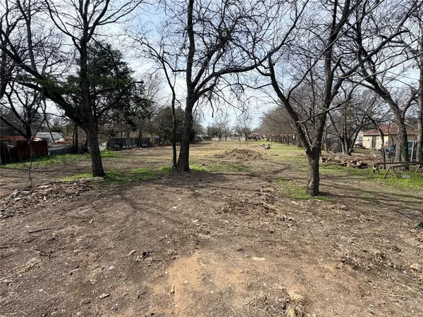 a view of empty yard with trees