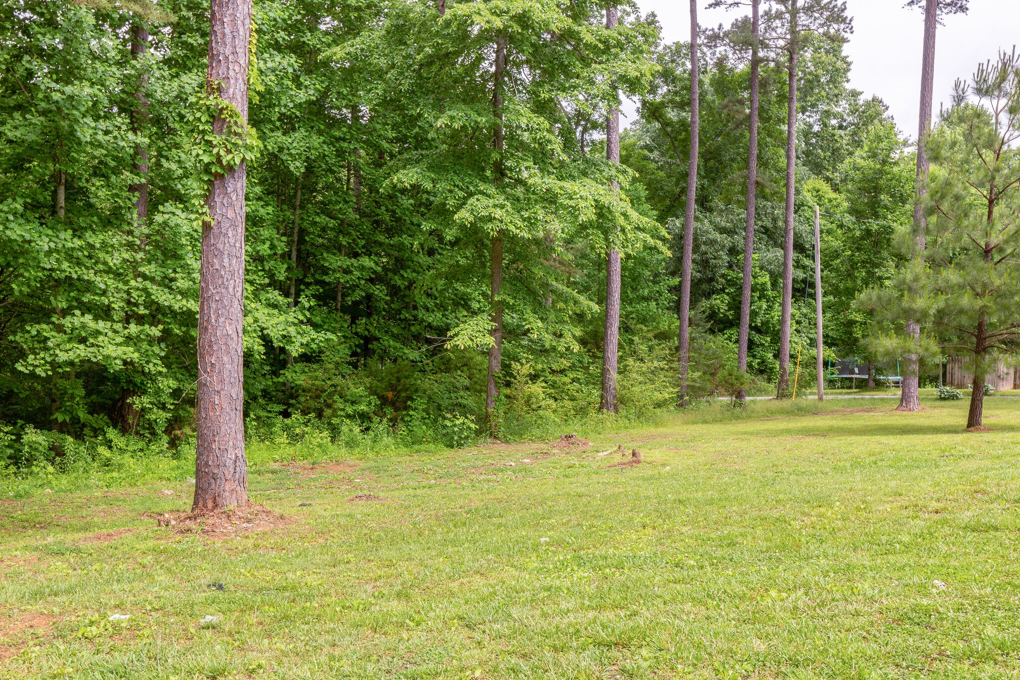 1054 Caps Ridge Dickson, TN 37055 - Photo 21 of 23 a backyard of a house with lots of green space and fountain