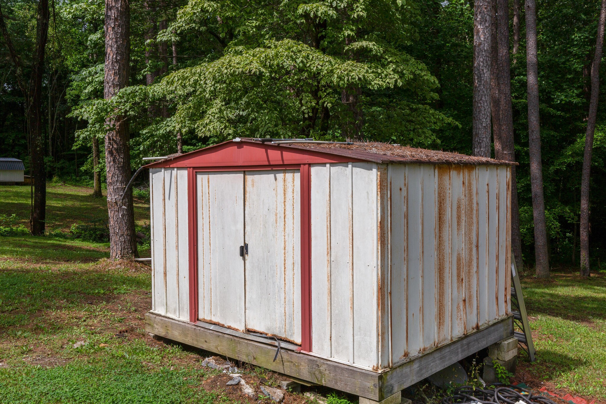 1054 Caps Ridge Dickson, TN 37055 - Photo 23 of 23 a view of a backyard with a tub and trees