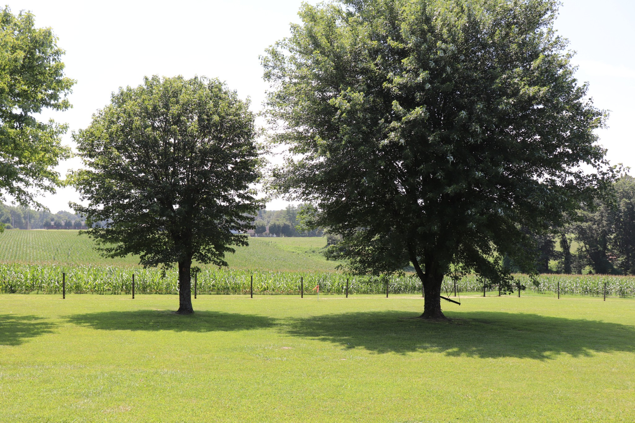 4753 Akersville Road Lafayette, TN 37083 - Photo 40 of 50 a view of a trees in a park