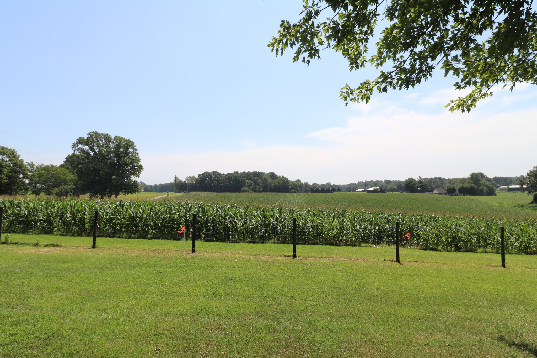 4753 Akersville Road Lafayette, TN 37083 - Photo 41 of 50 a view of a lake with a yard