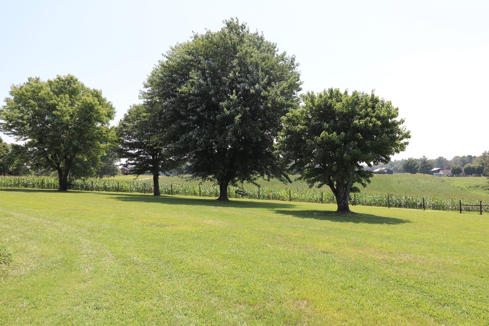 4753 Akersville Road Lafayette, TN 37083 - Photo 43 of 50 a view of yard with swimming pool and trees