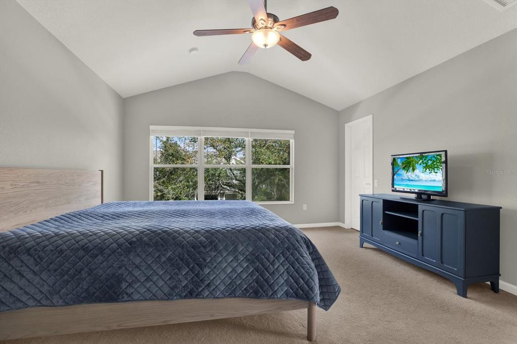 10228 Red Currant Court Riverview, FL 33578 - Photo 19 of 37 a bedroom with a bed and a television
