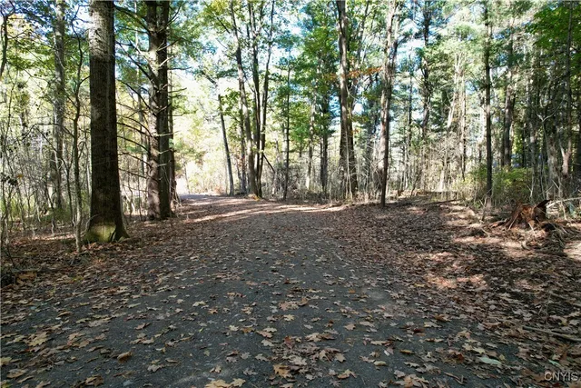 $245,000 | 0 West Lake Road, Cazenovia, NY 13035