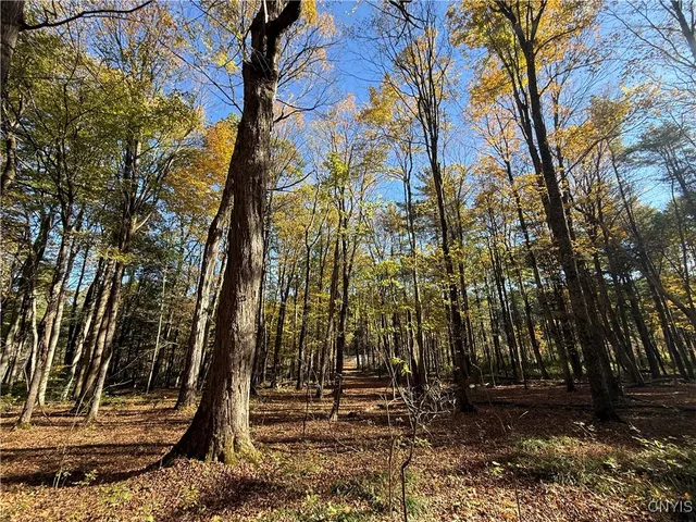 $245,000 | 0 West Lake Road, Cazenovia, NY 13035