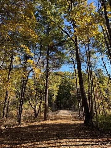 $245,000 | 0 West Lake Road, Cazenovia, NY 13035