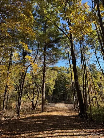 $245,000 | 0 West Lake Road, Cazenovia, NY 13035