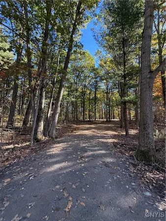 $245,000 | 0 West Lake Road, Cazenovia, NY 13035