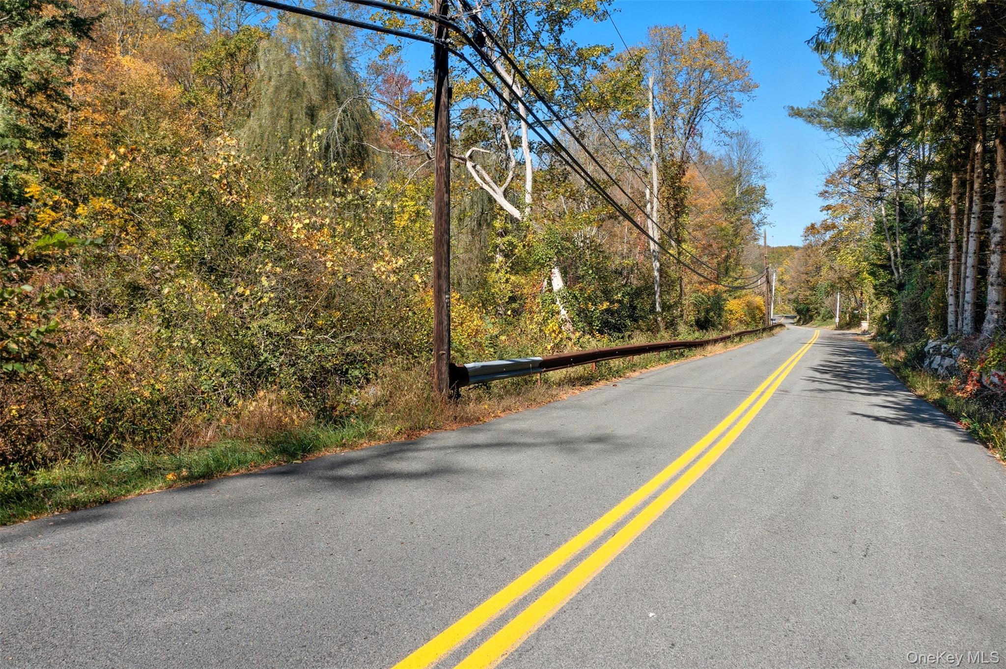 Wiccopee Road Putnam Valley, NY 10579 - Photo 11 of 16 View of asphalt street with a forest view