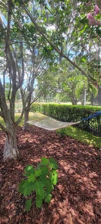 5201 Silverado Way Valrico, FL 33596 - Photo 38 of 65