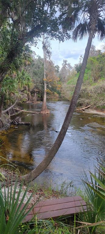 5201 Silverado Way Valrico, FL 33596 - Photo 41 of 65