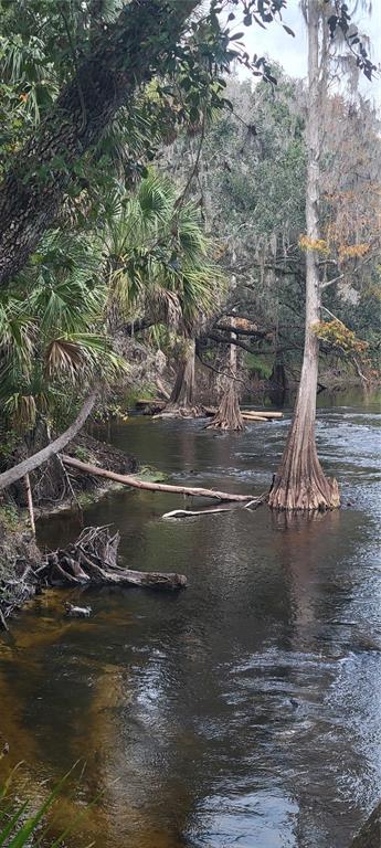 5201 Silverado Way Valrico, FL 33596 - Photo 42 of 65