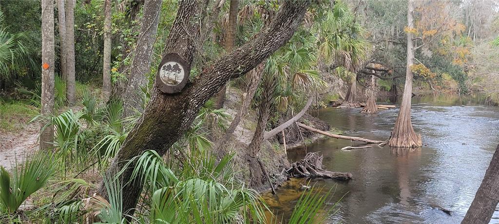 5201 Silverado Way Valrico, FL 33596 - Photo 44 of 65