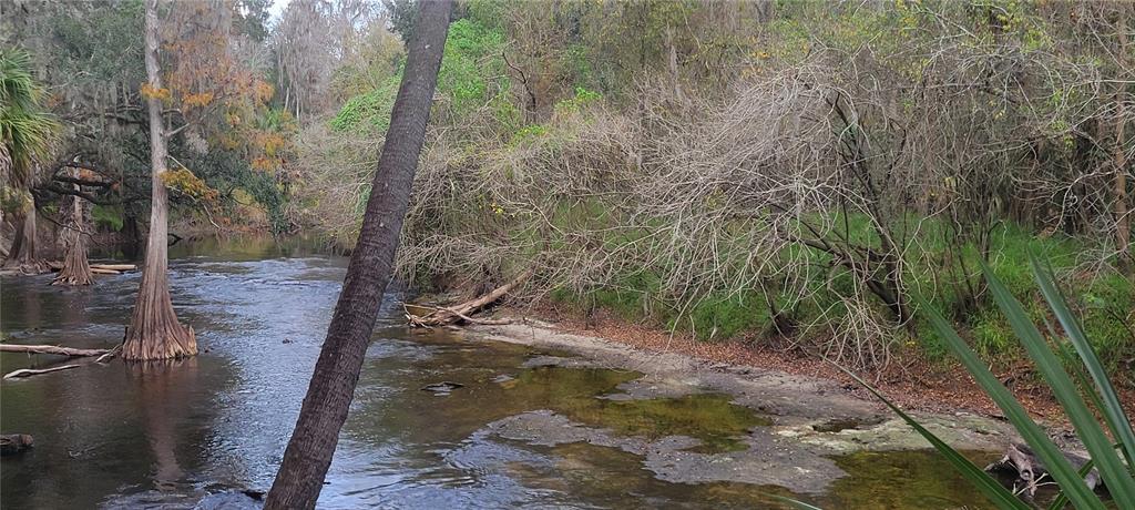 5201 Silverado Way Valrico, FL 33596 - Photo 45 of 65