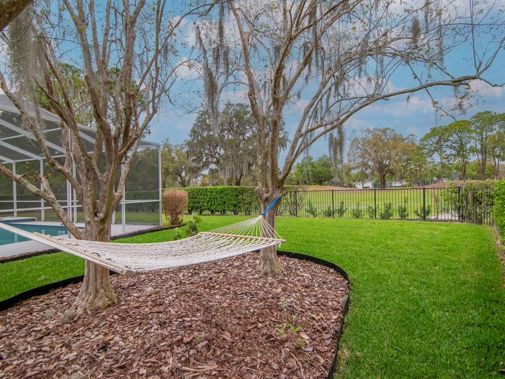 5201 Silverado Way Valrico, FL 33596 - Photo 56 of 65