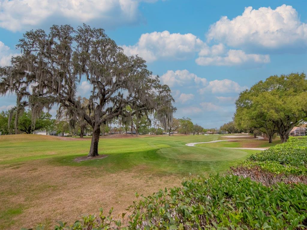 5201 Silverado Way Valrico, FL 33596 - Photo 57 of 65