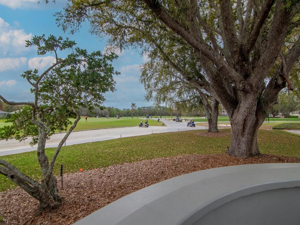 5201 Silverado Way Valrico, FL 33596 - Photo 60 of 65