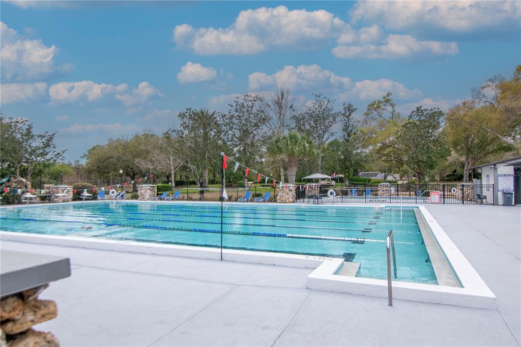 5201 Silverado Way Valrico, FL 33596 - Photo 62 of 65