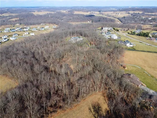 an aerial view of mountain and trees