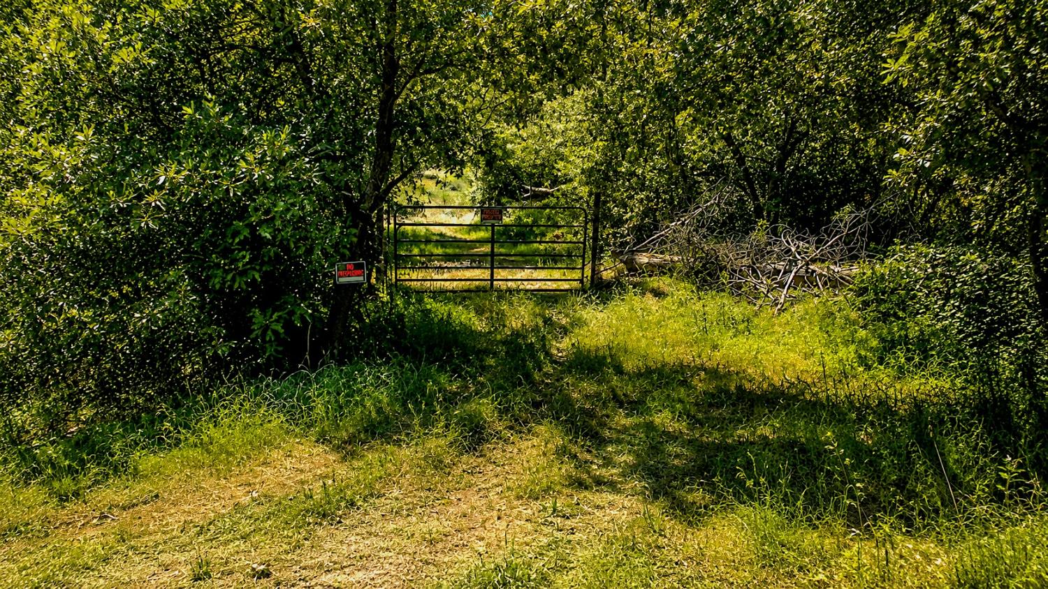 0 Cuneo Road Coulterville, CA 95311 - Photo 9 of 17