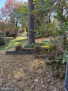 a view of a yard with plants and a large tree