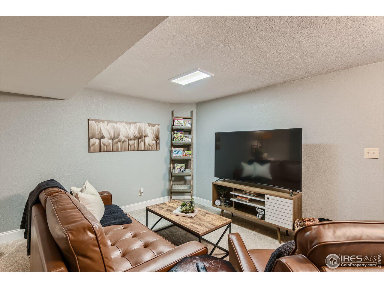 321 North Meldrum Street Fort Collins, CO 80521 - Photo 27 of 40 a living room with furniture and a flat screen tv